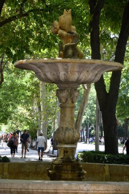 MADRID, İspanya - 15 Ağustos 2024 'te İspanya' nın Madrid şehrinde görülen dört çeşme.