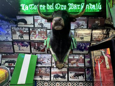 12 Ağustos 2024 'te İspanya' nın Madrid Plaza Belediye Başkanı 'nda La Torre del Oro Bullfight Bar' da görüldü..