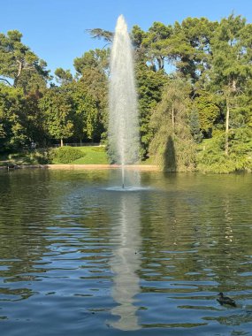 12 Ağustos 2024 'te Madrid, İspanya' daki El Retiro Parkı 'nda görülen Çeşme..