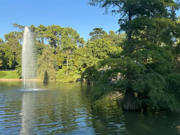 12 Ağustos 2024 'te Madrid, İspanya' daki El Retiro Parkı 'nda görülen Çeşme..