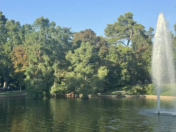 12 Ağustos 2024 'te Madrid, İspanya' daki El Retiro Parkı 'nda görülen Çeşme..