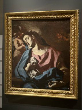 MADRID, SPAIN - 12 AUG: 12 Ağustos 2024 'te İspanya' nın Madrid kentindeki Kraliyet Koleksiyonları Galerisinde görüldüğü gibi.