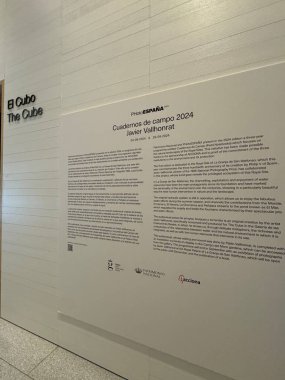 MADRID, SPAIN - 12 AUG 2024 'te İspanya' nın Madrid kentindeki Royal Collections Gallery 'deki Küp sergisi.