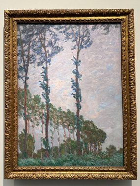 ABU DHABI, BAE - 1 Ocak 2024 'te Abu Dabi, BAE' deki Louvre Müzesinde sergi.