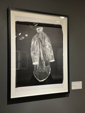 CORNING, NY - 31 AUG: William Wegman 'ın The Fotoğrafçılık sergisi Rockwell Müzesi' nde, Smithsonian bağlı, Corning, New York 'ta, 31 Ağustos 2024' te görüldüğü gibi.