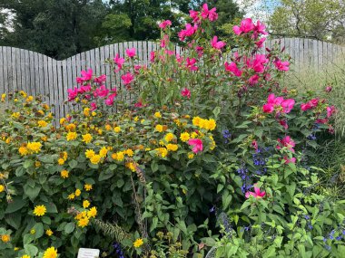 ITHACA, NY - 1. Sezon 1. Bölüm: Cornell Botanik Bahçeleri, Ithaca, New York, 1..