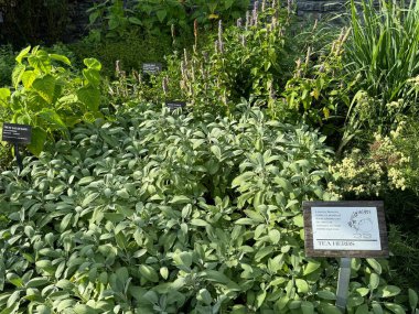 ITHACA, NY - 1. Sezon 1. Bölüm: Cornell Botanik Bahçeleri, Ithaca, New York, 1..