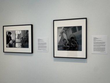 ITHACA, New York - 1. Sezon 1. Bölüm: Asya Sanat Koleksiyonu, New York, Ithaca 'daki Herbert F. Johnson Sanat Müzesi, 1..