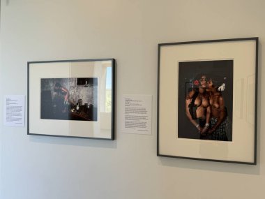 ITHACA, New York - 1. Sezon 1. Bölüm: Asya Sanat Koleksiyonu, New York, Ithaca 'daki Herbert F. Johnson Sanat Müzesi, 1..