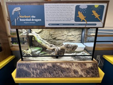 ITHACA, NY - 31 AUG: 31 Ağustos 2024 'te Ithaca, New York' taki Sciencenter 'da görülen sergi.