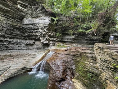 New York, Ithaca 'daki Buttermilk Falls Eyalet Parkı' na bir göz at.