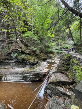 New York, Ithaca 'daki Buttermilk Falls Eyalet Parkı' na bir göz at.