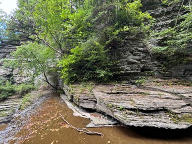 New York, Ithaca 'daki Buttermilk Falls Eyalet Parkı' na bir göz at.