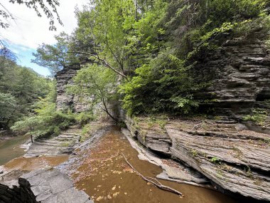 View through the hike at Buttermilk Falls State Park in Ithaca, New York clipart