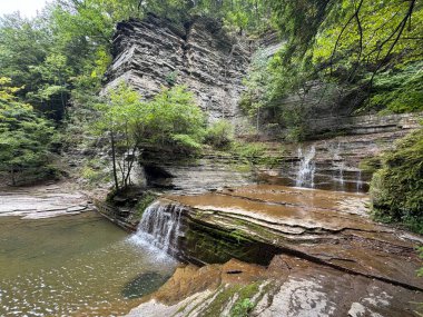 New York, Ithaca 'daki Buttermilk Falls Eyalet Parkı' na bir göz at.