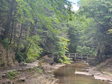 New York, Ithaca 'daki Buttermilk Falls Eyalet Parkı' na bir göz at.