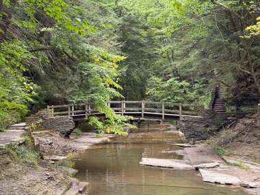 New York, Ithaca 'daki Buttermilk Falls Eyalet Parkı' na bir göz at.