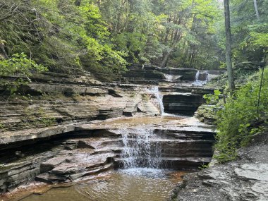 View through the hike at Buttermilk Falls State Park in Ithaca, New York clipart