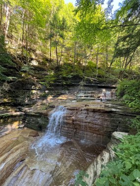 New York, Ithaca 'daki Buttermilk Falls Eyalet Parkı' na bir göz at.