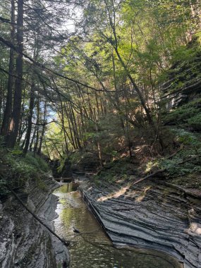 View through the hike at Buttermilk Falls State Park in Ithaca, New York clipart