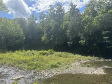 New York, Ithaca 'daki Buttermilk Falls Eyalet Parkı' na bir göz at.