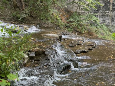 New York, Ithaca 'daki Cascadilla Gorge Trail' de yürüyüş.