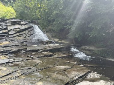 Cascadilla Gorge Patikasında Şelale, Ithaca, New York