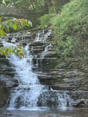 Cascadilla Gorge Patikasında Şelale, Ithaca, New York