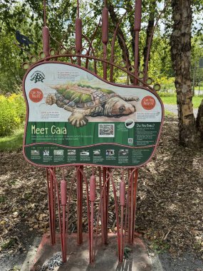 ITHACA, New York - 2. Sezon 2024 'te Ithaca Çocuk Bahçesi' nde görülen Gaia Kaplumbağa.