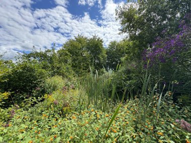 ITHACA, NY - 2. Sezon 2. Bölüm: Ithaca, New York 'taki Ithaca Çocuk Bahçesi.