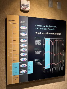 ITHACA, NY - 1. SEP: 1. Sep 2024 'te görüldüğü üzere Ithaca, New York' taki Dünya Müzesi 'nde sergi.