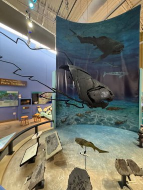 ITHACA, NY - 1. SEP: 1. Sep 2024 'te görüldüğü üzere Ithaca, New York' taki Dünya Müzesi 'nde sergi.