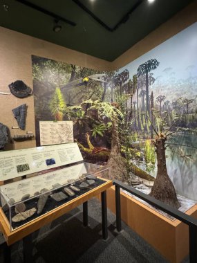 ITHACA, NY - 1. SEP: 1. Sep 2024 'te görüldüğü üzere Ithaca, New York' taki Dünya Müzesi 'nde sergi.