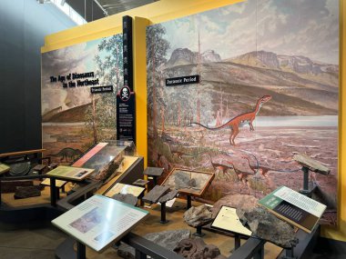 ITHACA, NY - 1. SEP: 1. Sep 2024 'te görüldüğü üzere Ithaca, New York' taki Dünya Müzesi 'nde sergi.