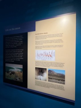 ITHACA, NY - 1. SEP: 1. Sep 2024 'te görüldüğü üzere Ithaca, New York' taki Dünya Müzesi 'nde sergi.