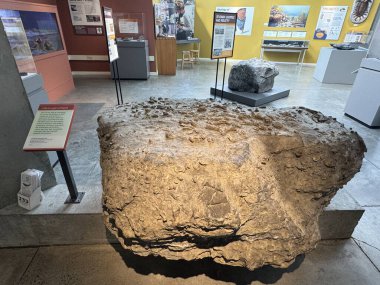 ITHACA, NY - 1. SEP: 1. Sep 2024 'te görüldüğü üzere Ithaca, New York' taki Dünya Müzesi 'nde sergi.