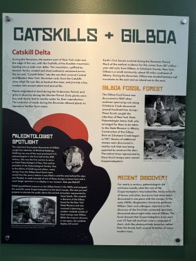 ITHACA, NY - 1. SEP: 1. Sep 2024 'te görüldüğü üzere Ithaca, New York' taki Dünya Müzesi 'nde sergi.