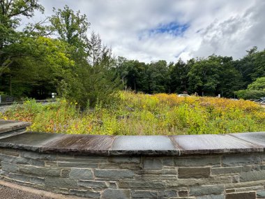 Taughannock Falls Eyalet Parkı, Ithaca, New York