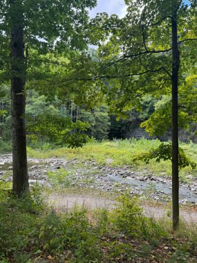 New York, Ithaca 'daki Six Mile Creek' teki Wells Şelalesi 'ndeki yürüyüşten görüntü.