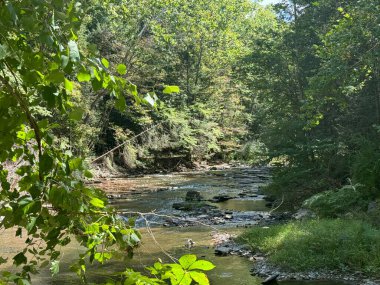 New York, Ithaca 'daki Six Mile Creek' teki Wells Şelalesi 'ndeki yürüyüşten görüntü.