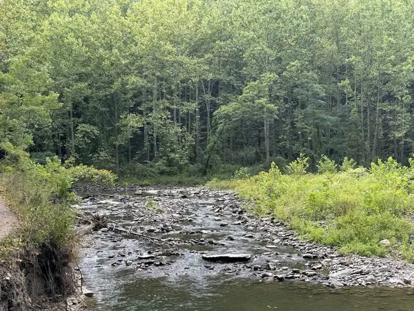 New York, Ithaca 'daki Six Mile Creek' teki Wells Şelalesi 'ndeki yürüyüşten görüntü.