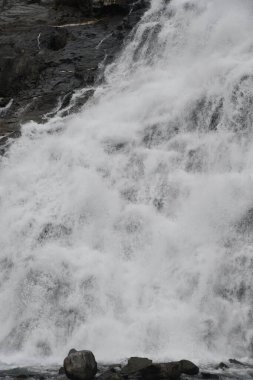 Nugget Falls, Juneau, Alaska 'daki Mendenhall Buzul Ulusal Parkı' nda.