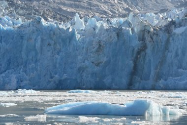 Dawes Buzulu, Endicott Arm, Alaska ABD
