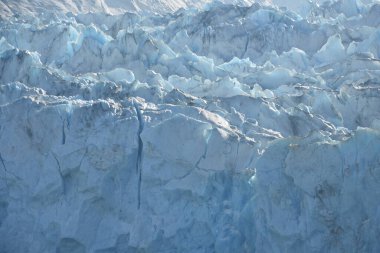 Dawes Buzulu, Endicott Arm, Alaska ABD