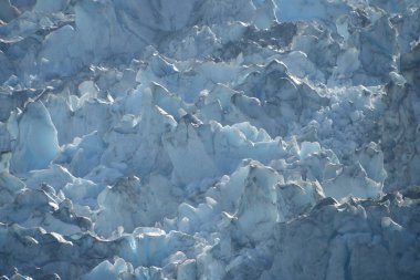 Dawes Buzulu, Endicott Arm, Alaska ABD