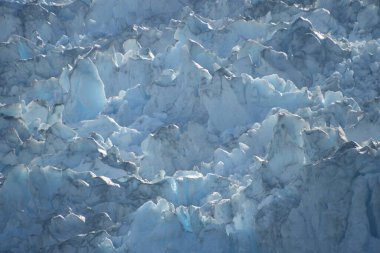 Dawes Buzulu, Endicott Arm, Alaska ABD