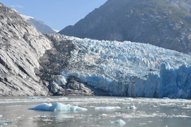 Dawes Buzulu, Endicott Arm, Alaska ABD