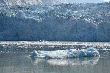 Dawes Buzulu, Endicott Arm, Alaska ABD