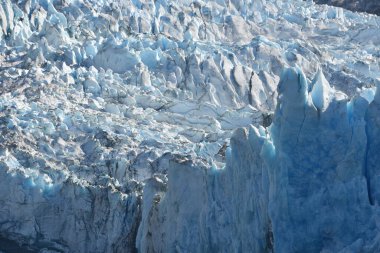 Dawes Buzulu, Endicott Arm, Alaska ABD