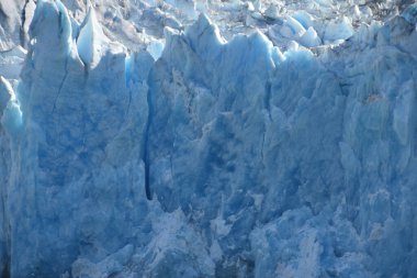 Dawes Buzulu, Endicott Arm, Alaska ABD